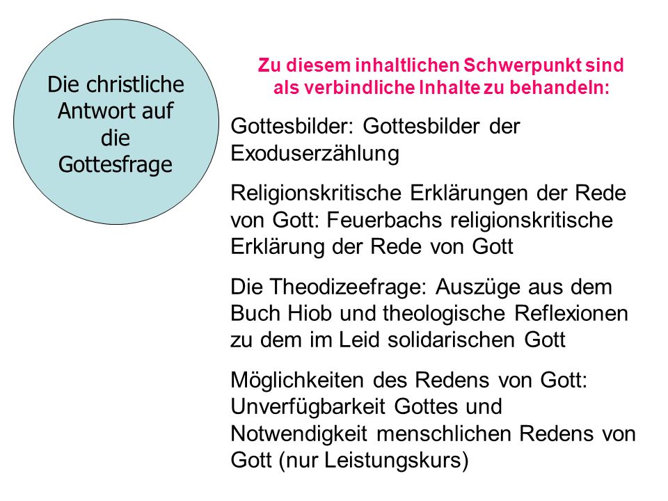 Die Zichorie erhöht die Potenz